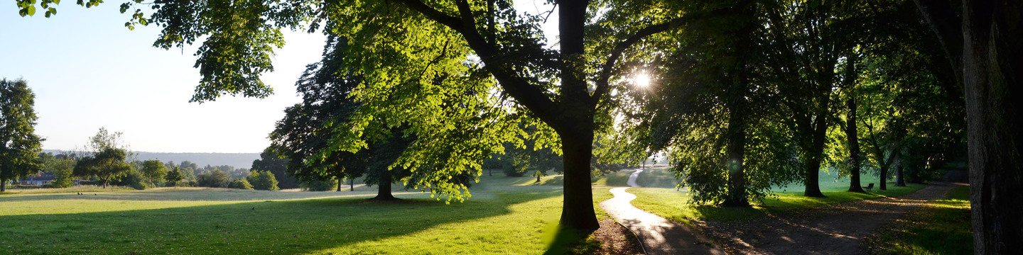 Picture of Arthur Newbery Park