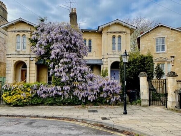 Pair of bath stone houses in Eldon Square with wisteria